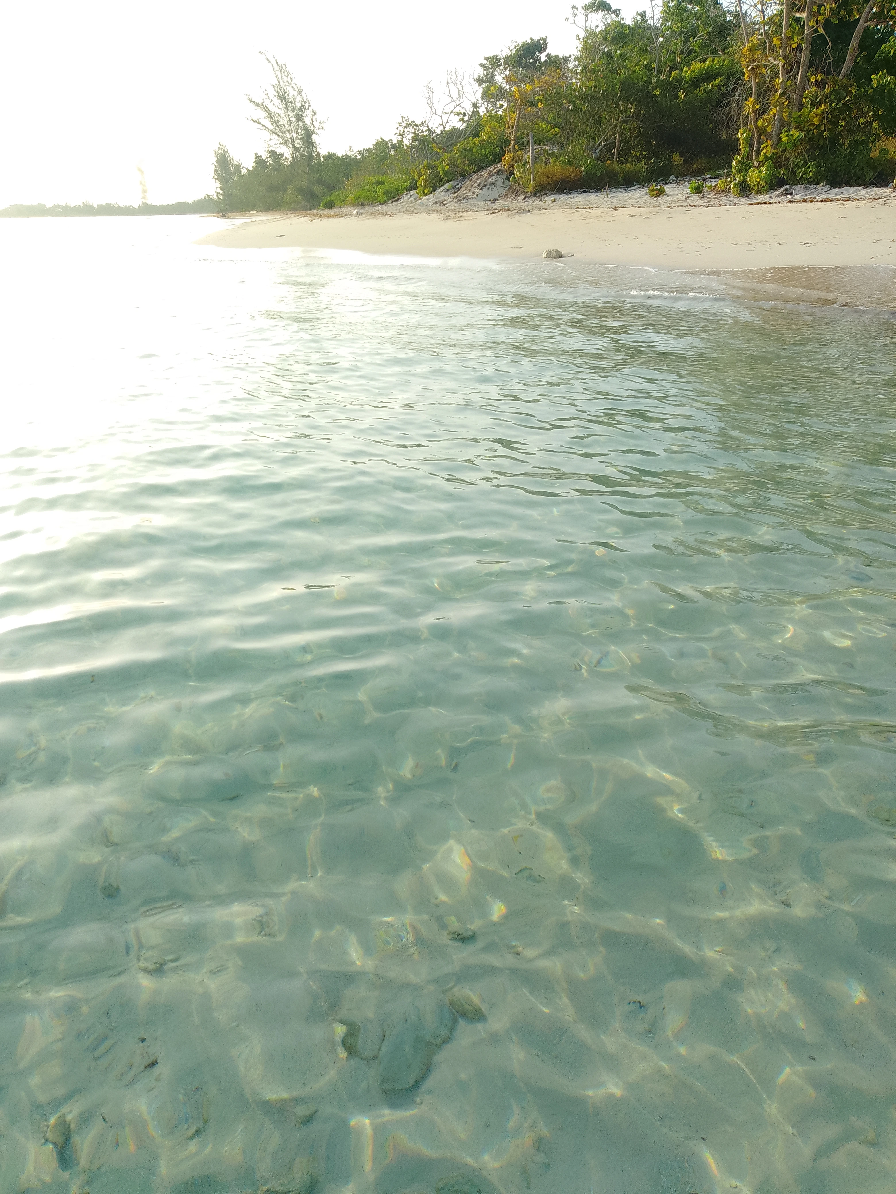 Braco White Sand Shoreline Exploration
